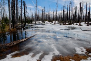 Snowmelt Pond