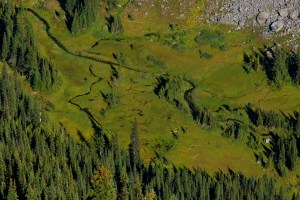 Approaching Berkeley Park