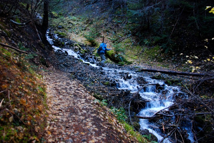 Also like Herman Creek: I don't know the names of any of the feeder streams. I think this is Ghoul Creek?