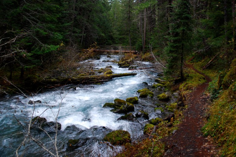 Back to the Dungeness River, almost back at (the other) home.