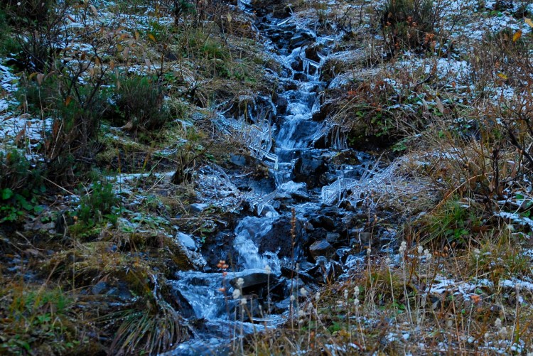 My fingers weren't happy about holding a bottle under this.