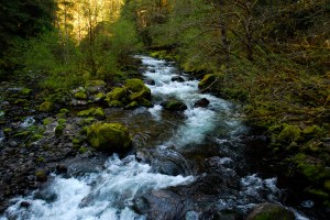 Cold, Cold Eagle Creek