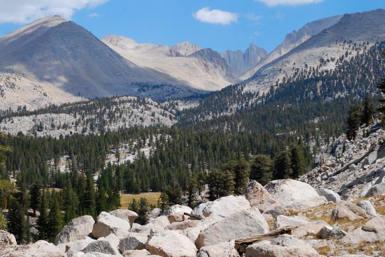 21563461955_9d308b2469_o