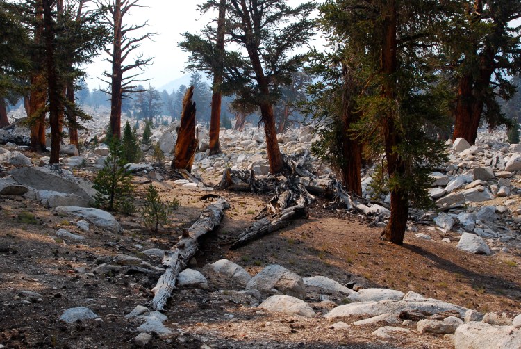 21563583715_54c970f119_o