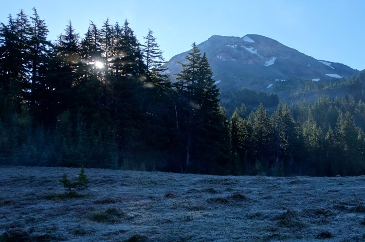 28947989504_fea00832be_o