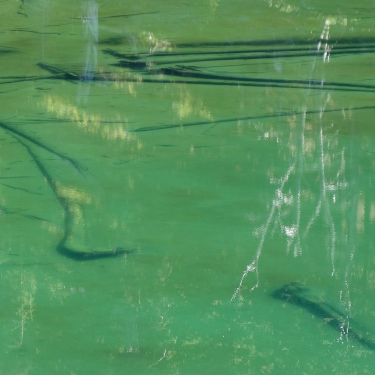 28948605254_e606e89404_o