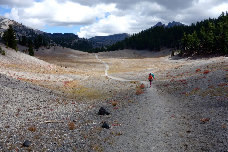 28949504143_4bdd79b876_o