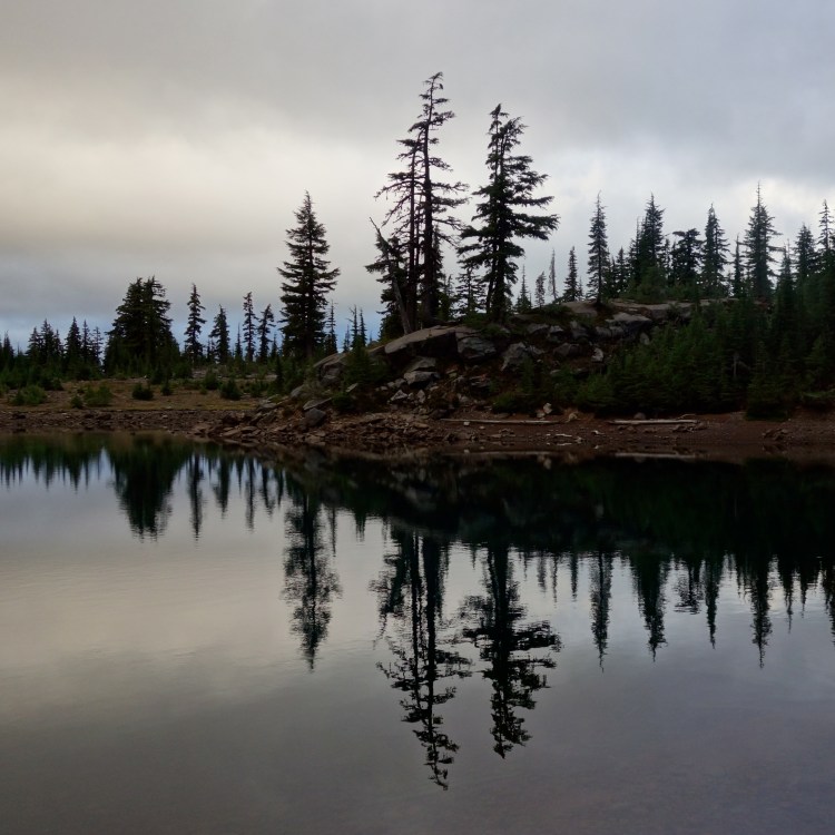 28949877213_01a9137d39_o