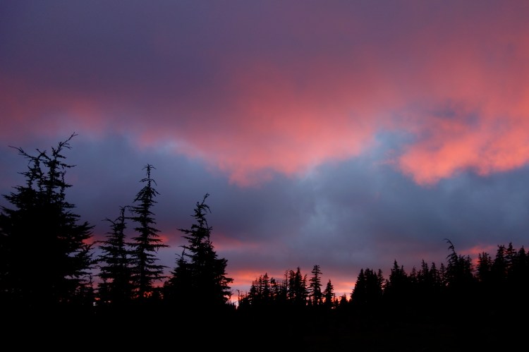 28949936863_a62aef6d1d_o