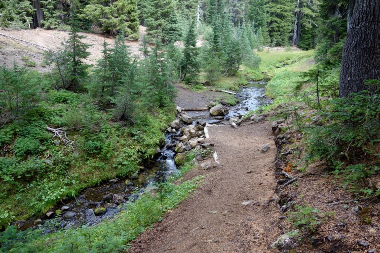 29283141710_3768acd62d_o