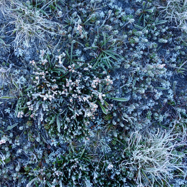 29283444240_e46b121bde_o