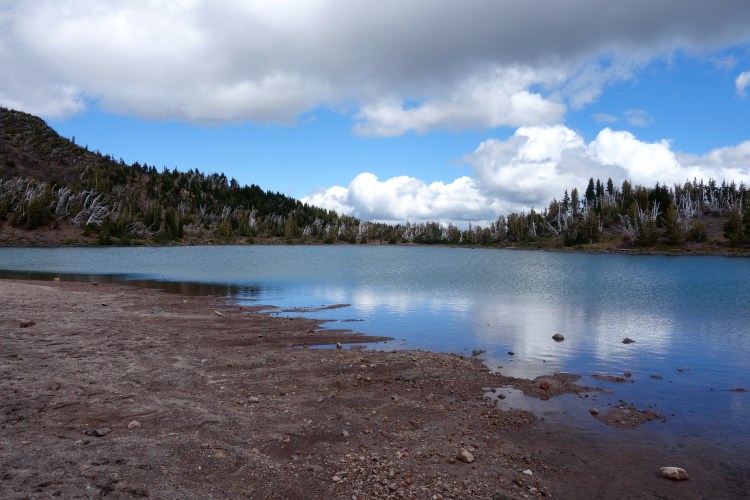 29283768310_221deb66b1_o