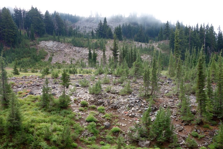 29463735852_598f85fe5e_o