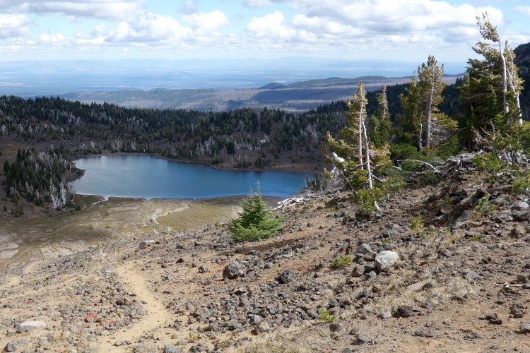 29463990492_fe81f9687d_o