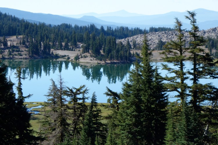 29493714301_d424f99dd5_o