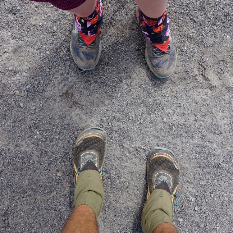 29538973486_52b0f76bbb_o