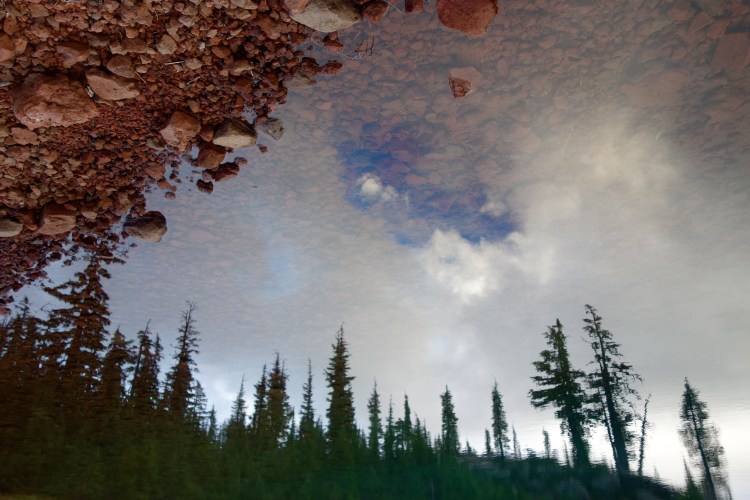 29539264266_01aaebecc5_o