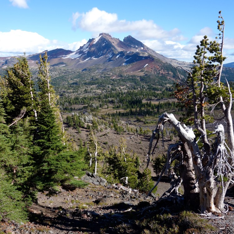 29539897366_541390803b_o